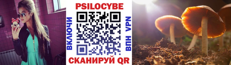 Псилоцибиновые грибы мицелий  даркнет телеграм  Богучар 